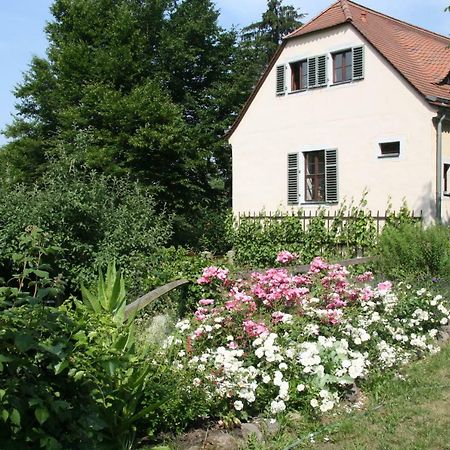 Poncet'Sches Herrenhaus Dresda Exterior foto