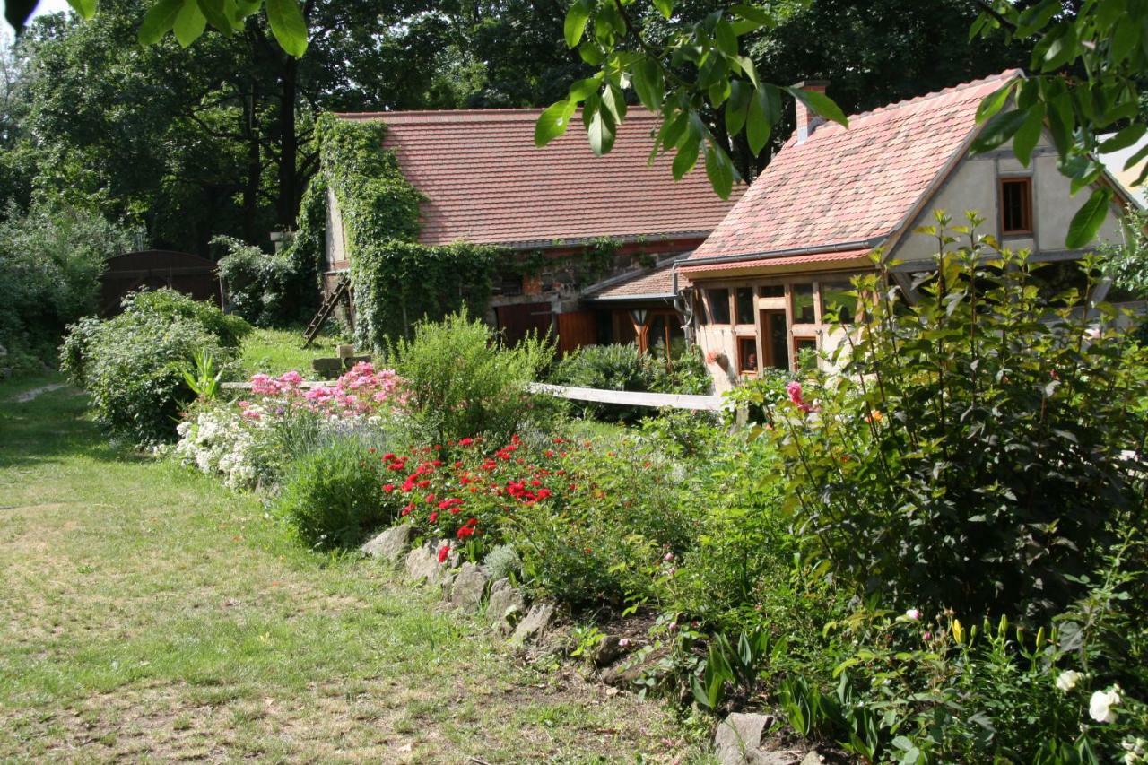 Poncet'Sches Herrenhaus Dresda Exterior foto