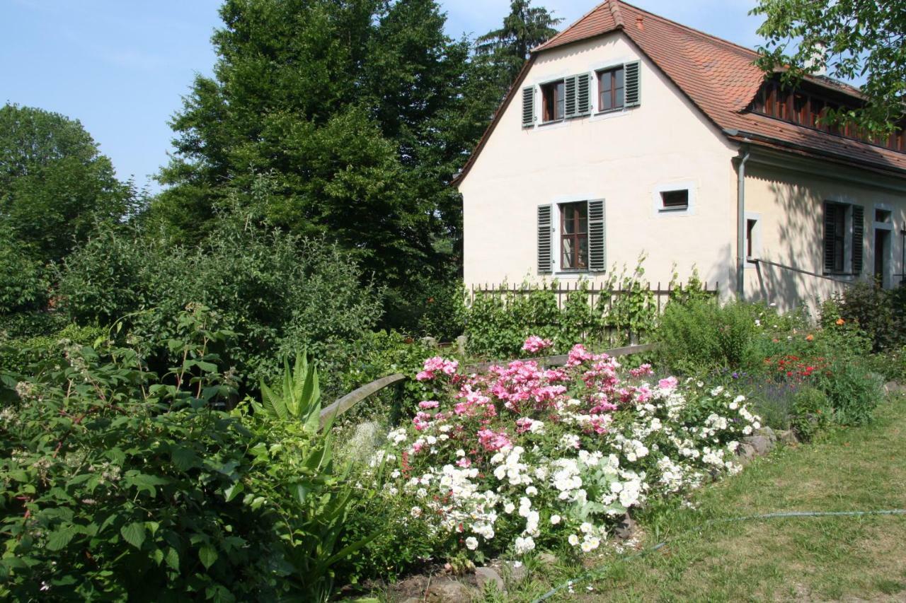 Poncet'Sches Herrenhaus Dresda Exterior foto